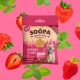 SOOPA - Healthy Bites - Eper és Menta falatok