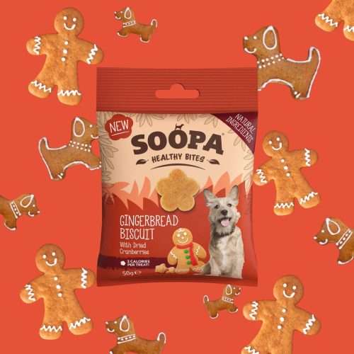 SOOPA - Healthy Bites -  Gingerbread Biscuit falatok