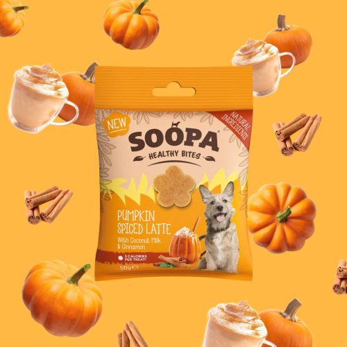 SOOPA - Healthy Bites -  Pumpkin Spice Latte falatok